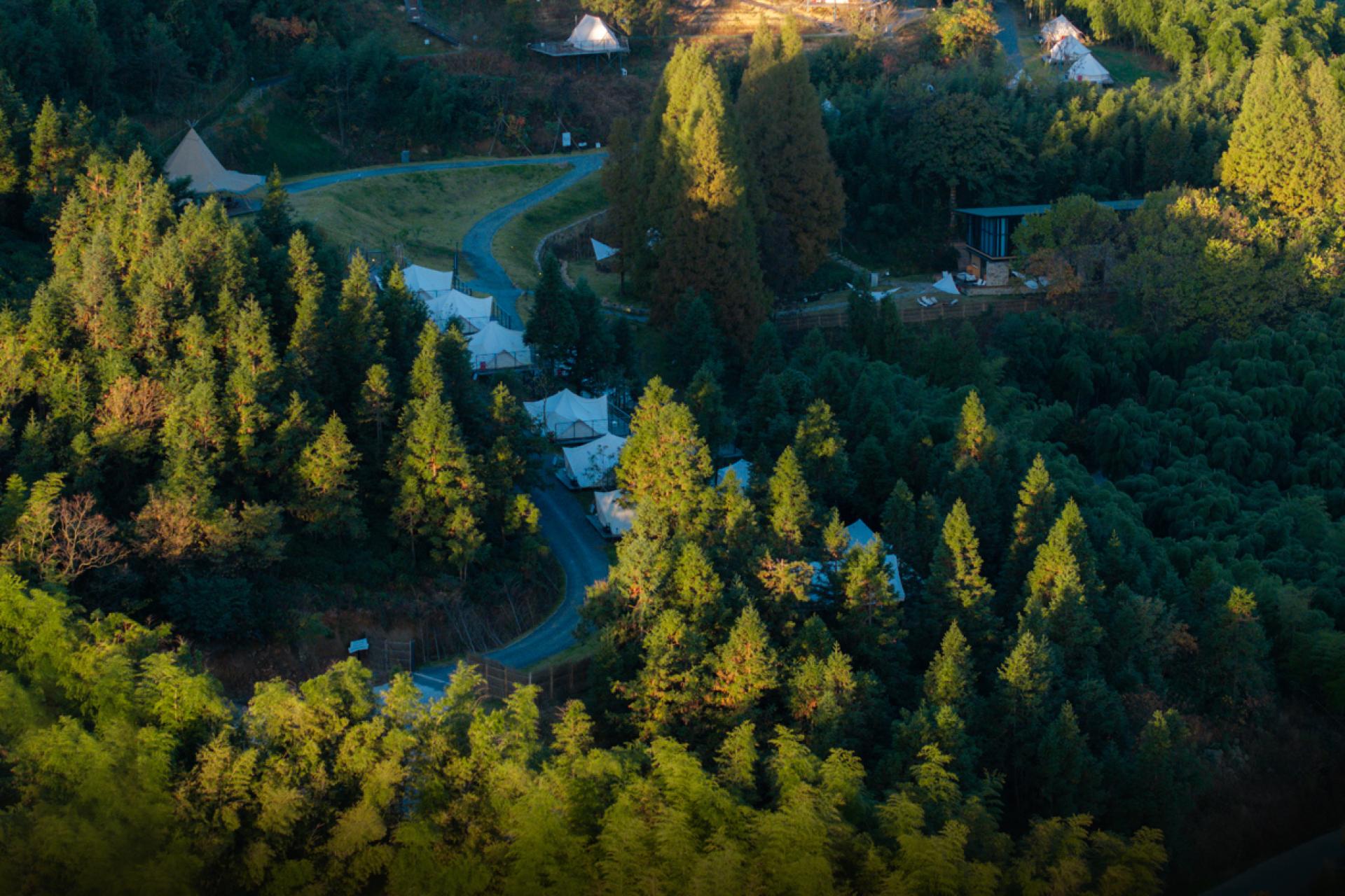 London Design Awards Winner - Refuge-moganshan campsite design