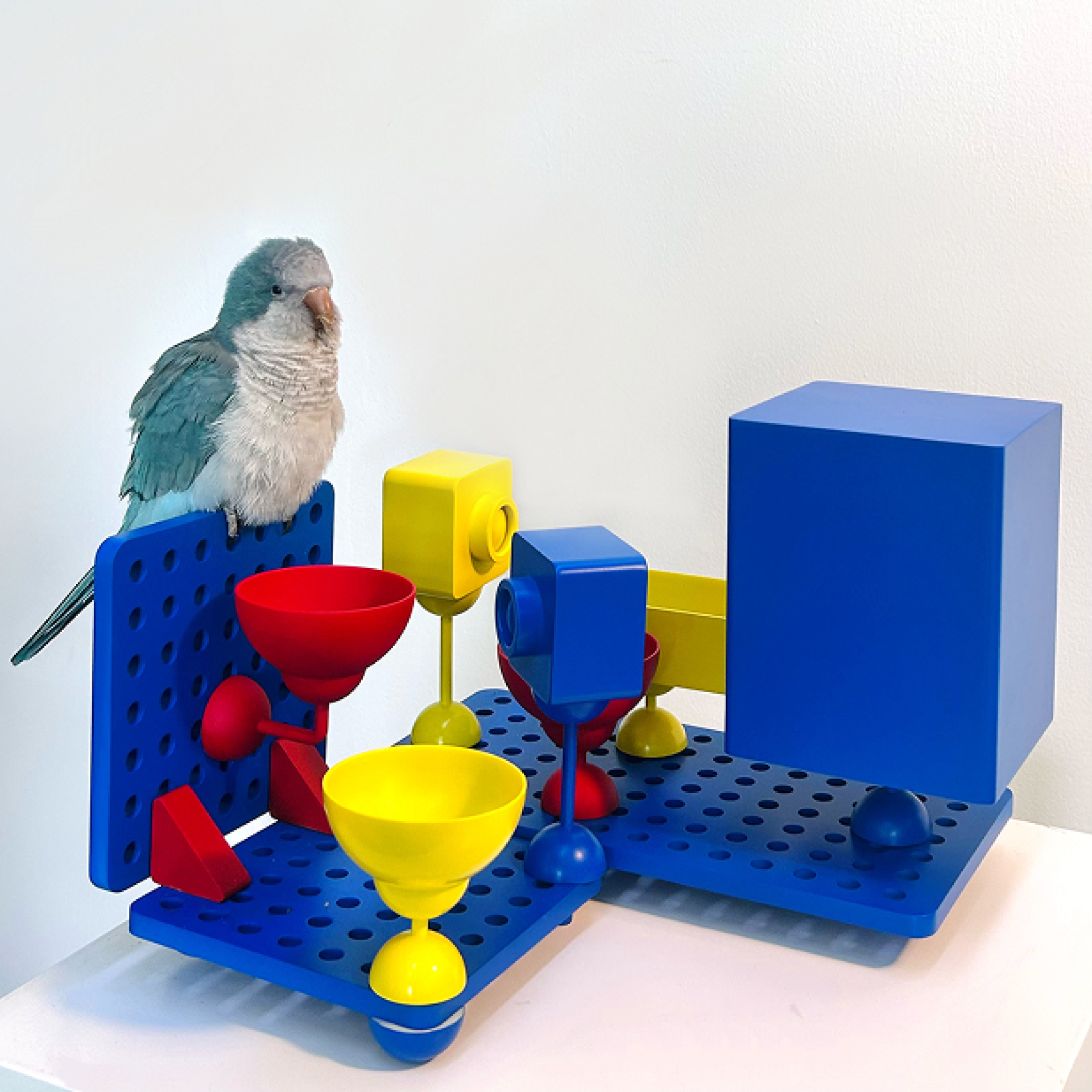 London Design Awards Winner - Birdy Plat