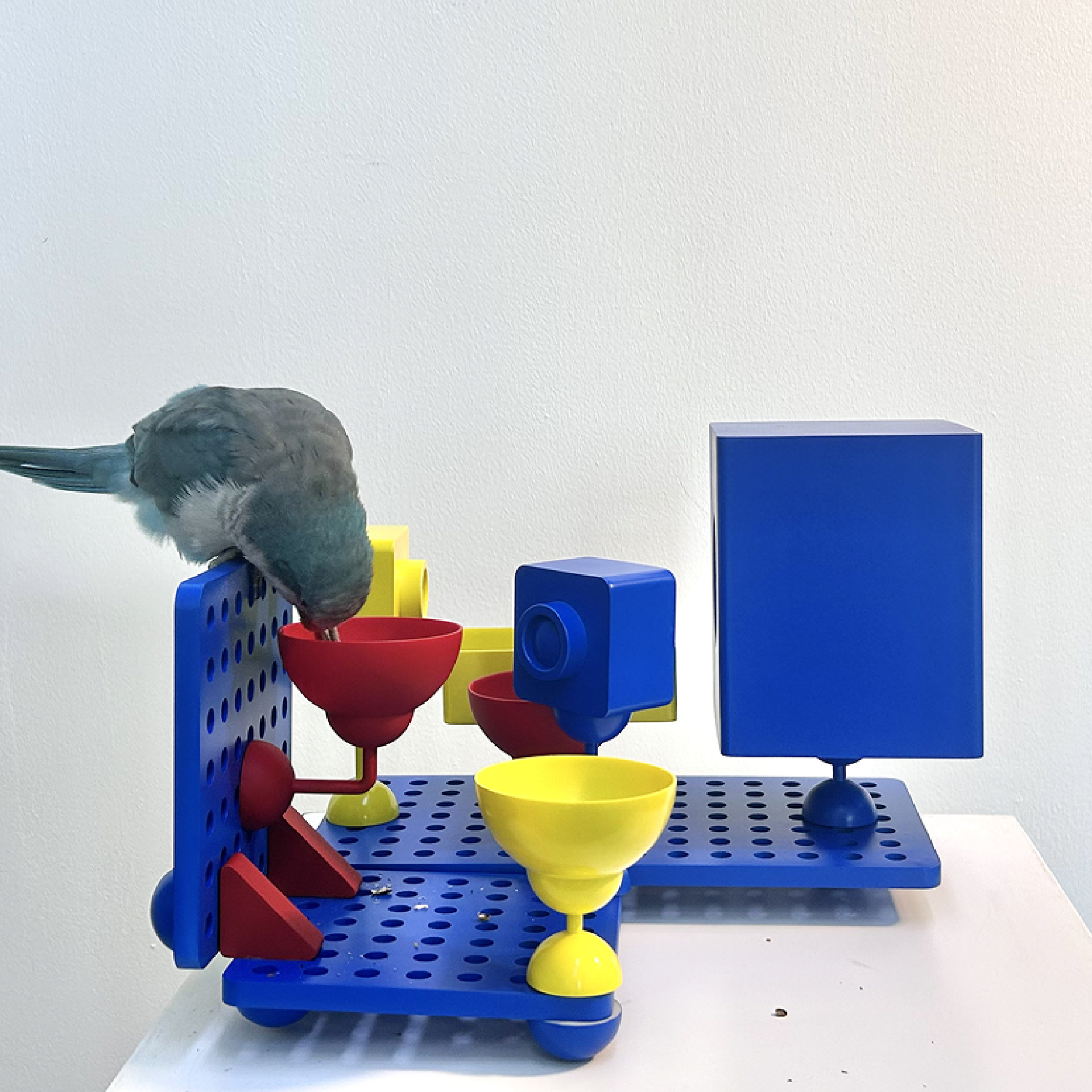 London Design Awards Winner - Birdy Plat