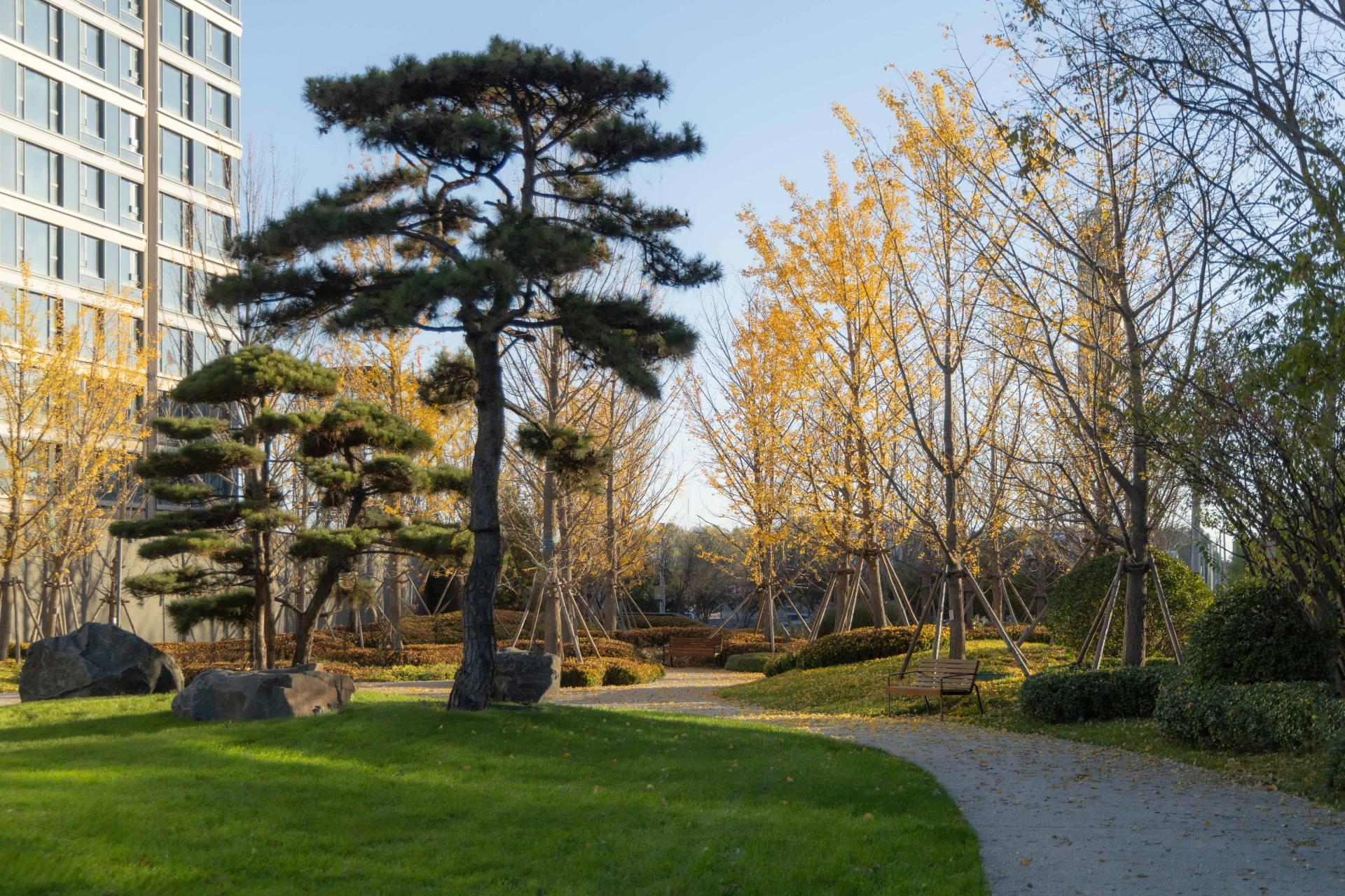 London Design Awards Winner - Zhonghai·Villa mount view, Beijing
