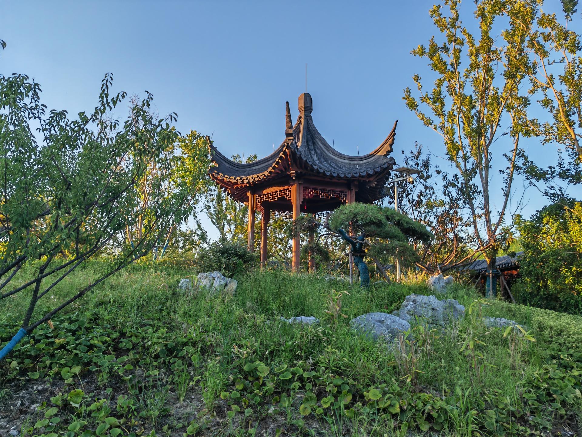 London Design Awards Winner - Shanghai West Bund Natural Art Park - Jiangnan Hui