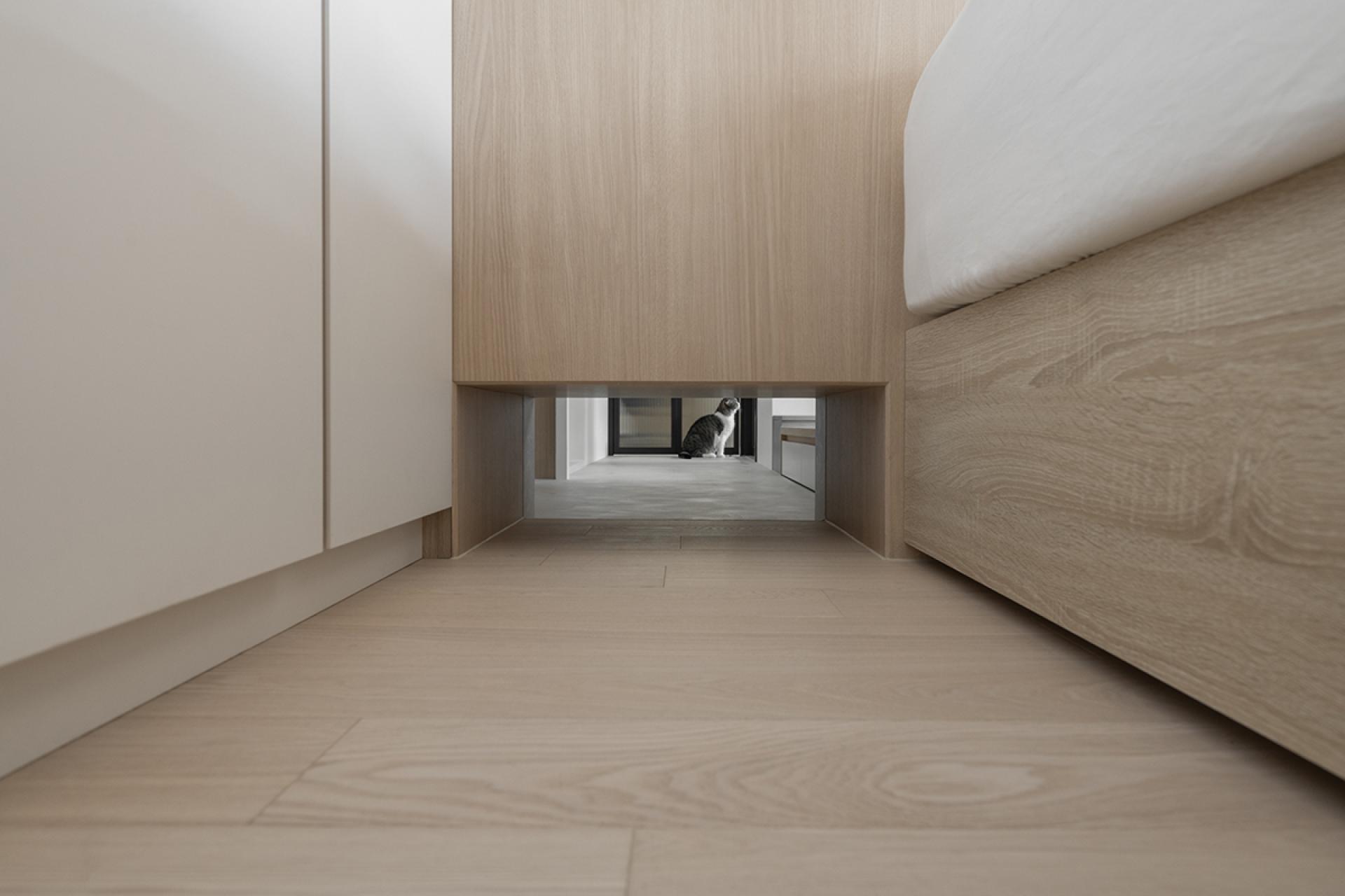 London Design Awards Winner - Catscape