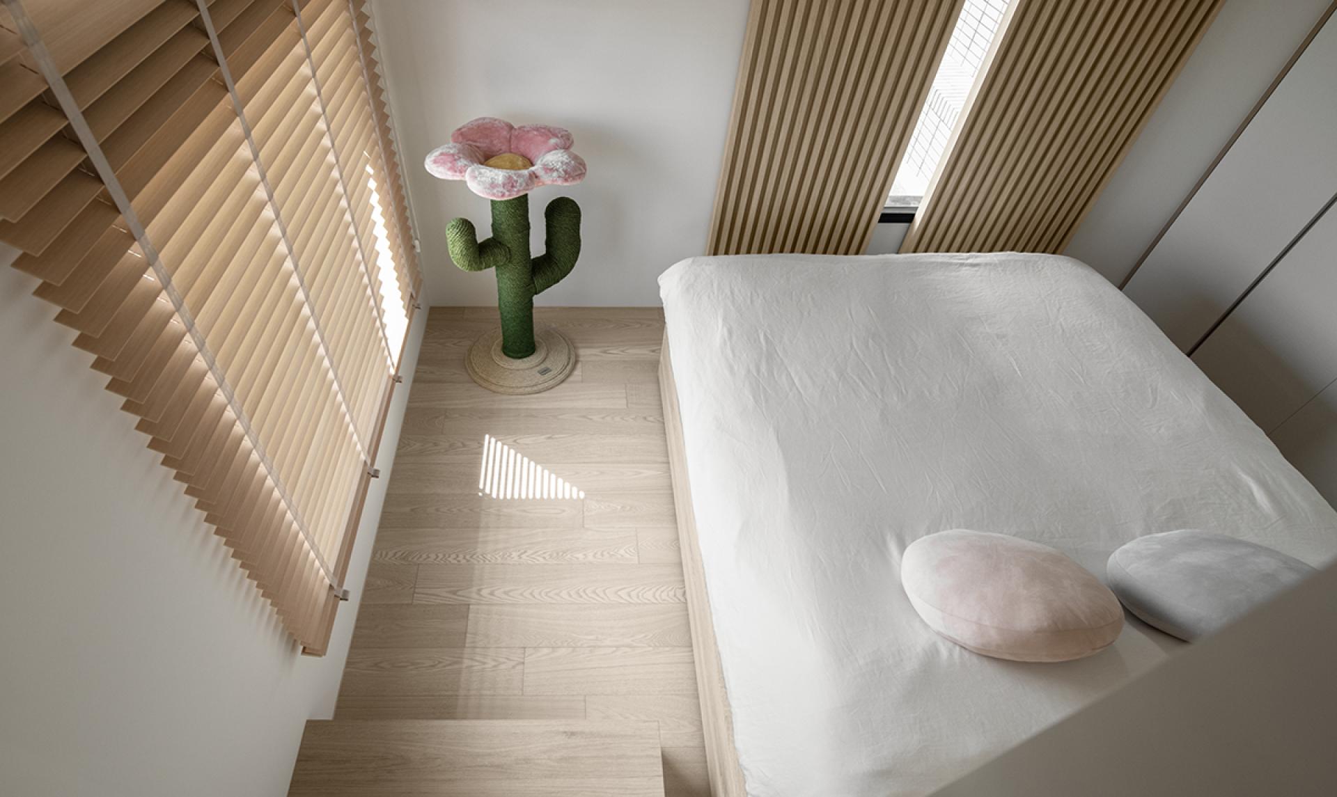 London Design Awards Winner - Catscape