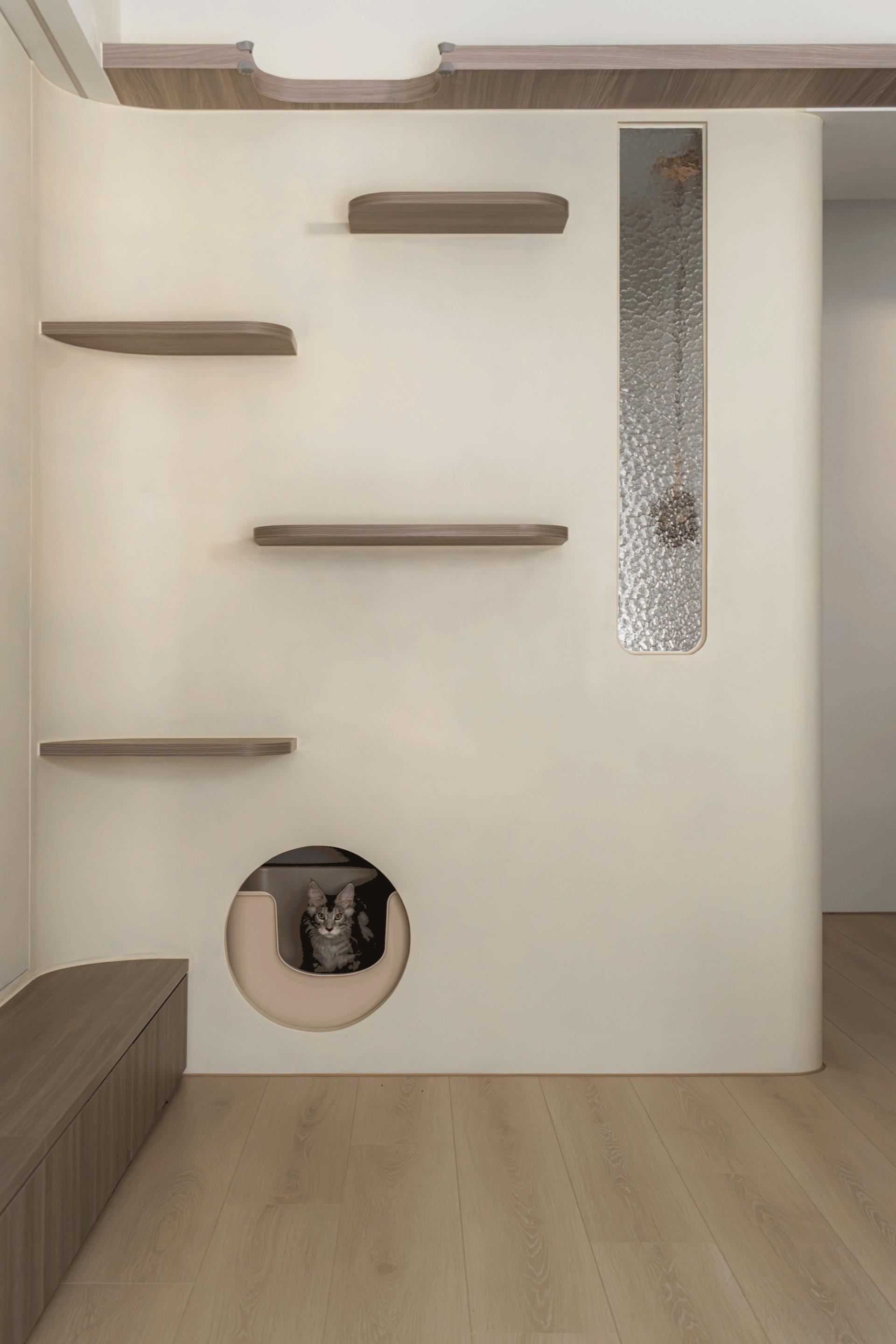 London Design Awards Winner - Cats in the Forest