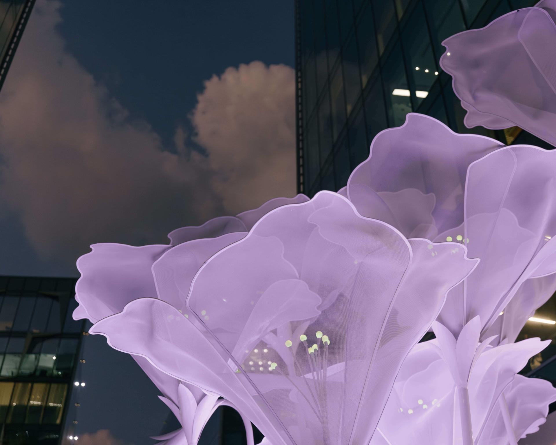 London Design Awards Winner - The Ephemeral Petunia Garden