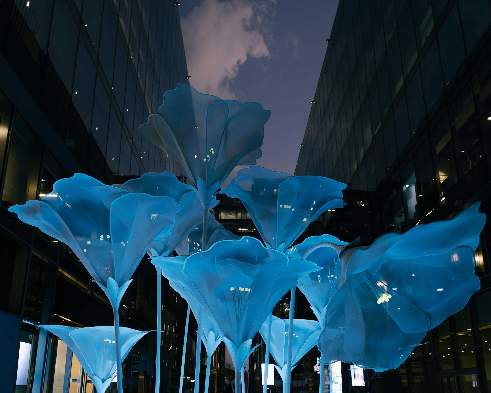 London Design Awards Winner - The Ephemeral Petunia Garden