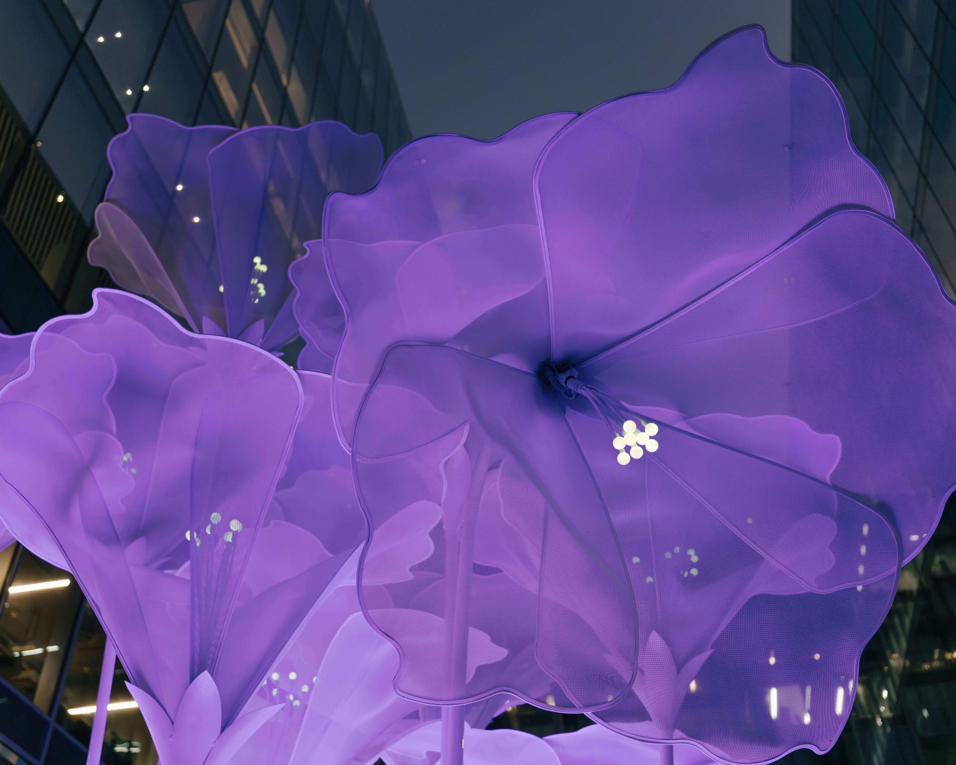 London Design Awards Winner - The Ephemeral Petunia Garden