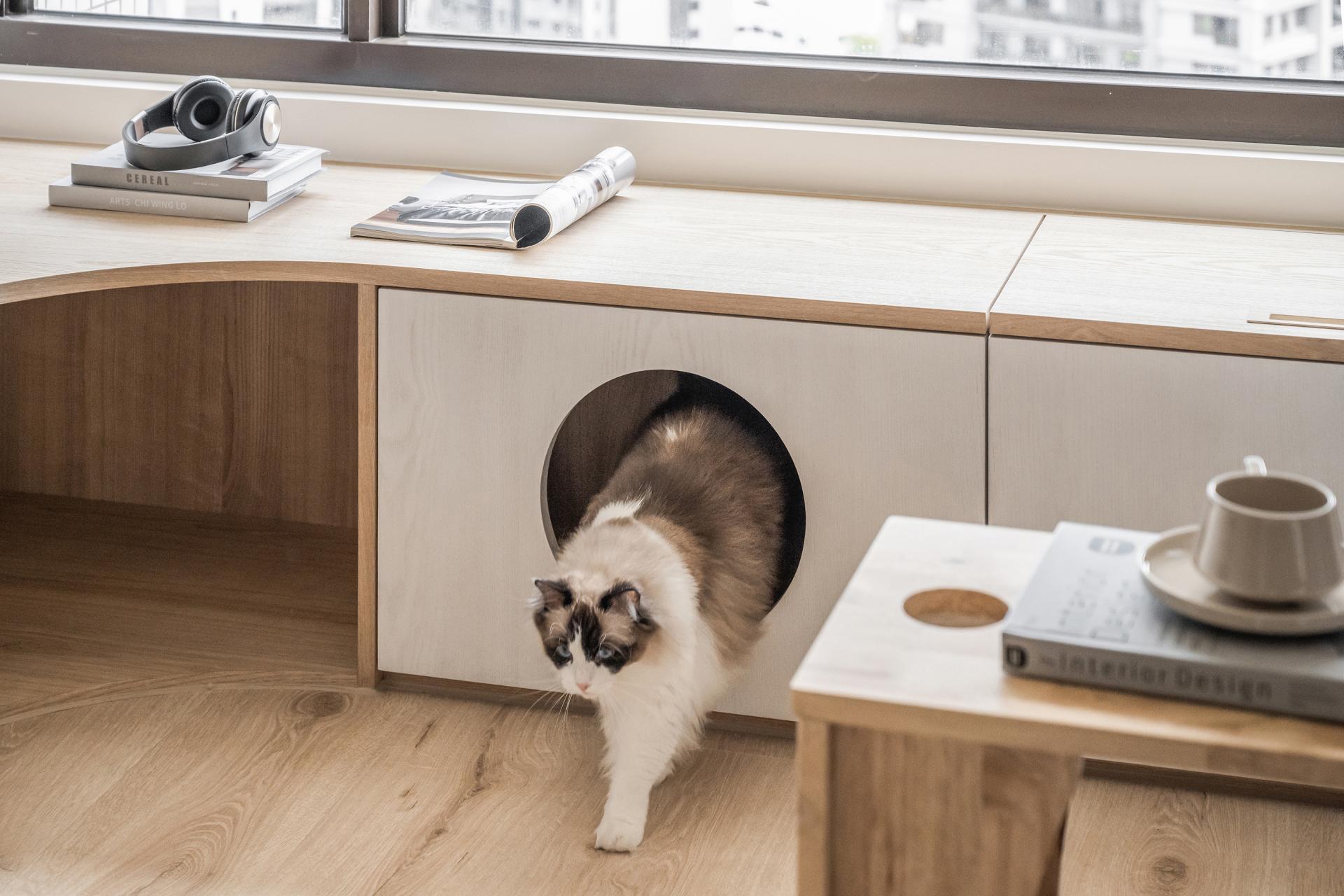 London Design Awards Winner - The Cat Haven Residence