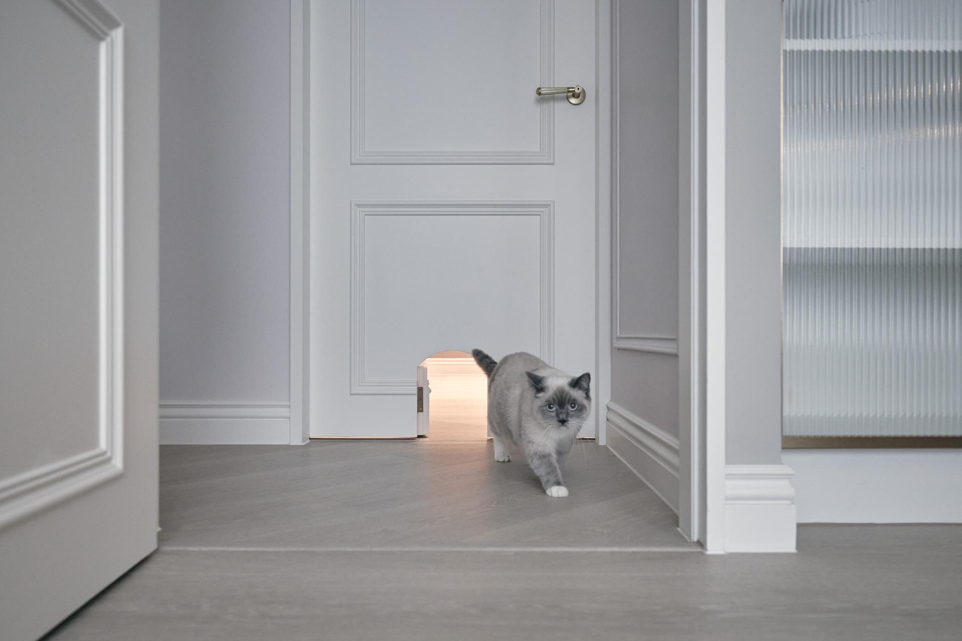 London Design Awards Winner - Luminous Prelude