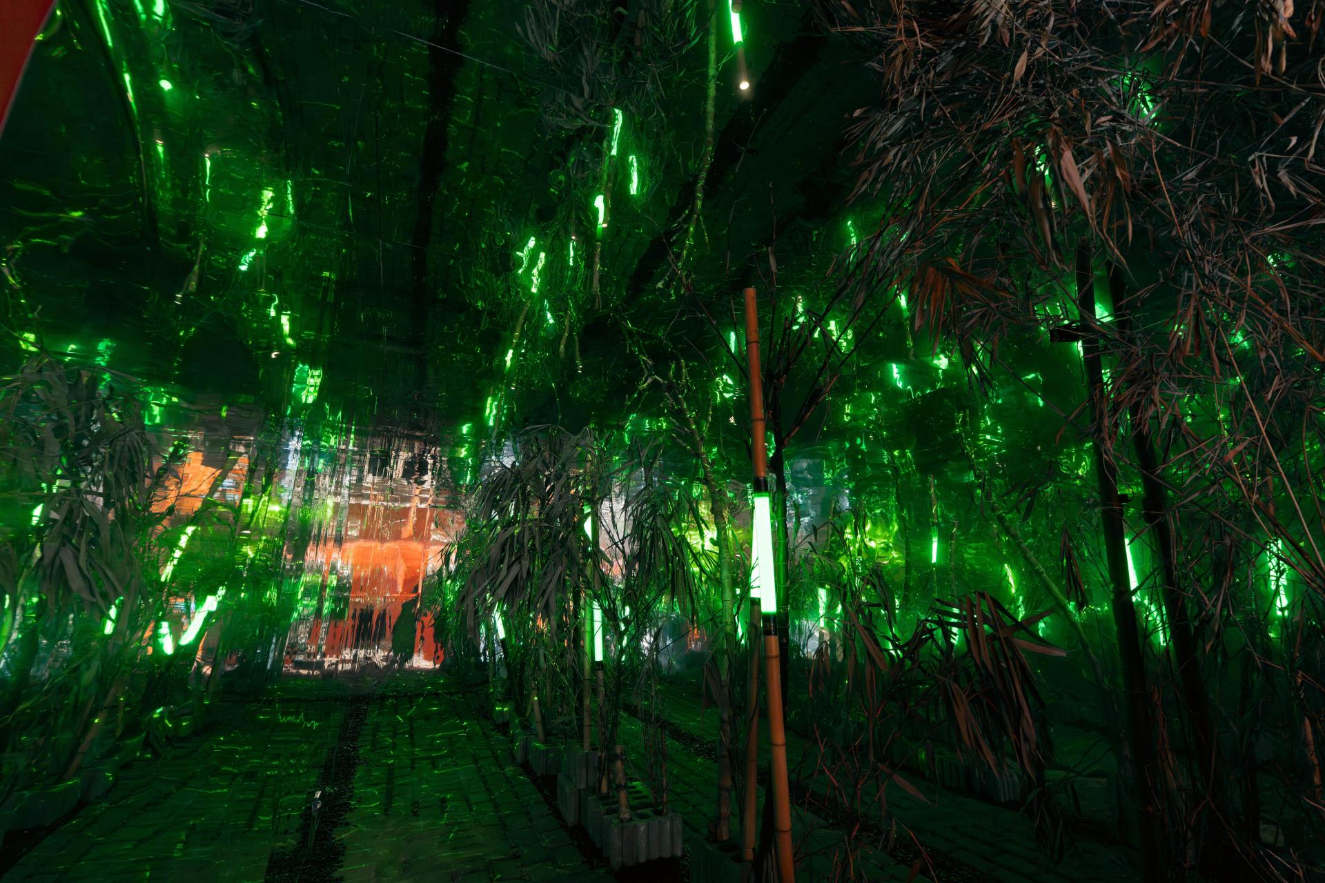 London Design Awards Winner - Longci Light Festival 2026 : Call Of The Wild Woods