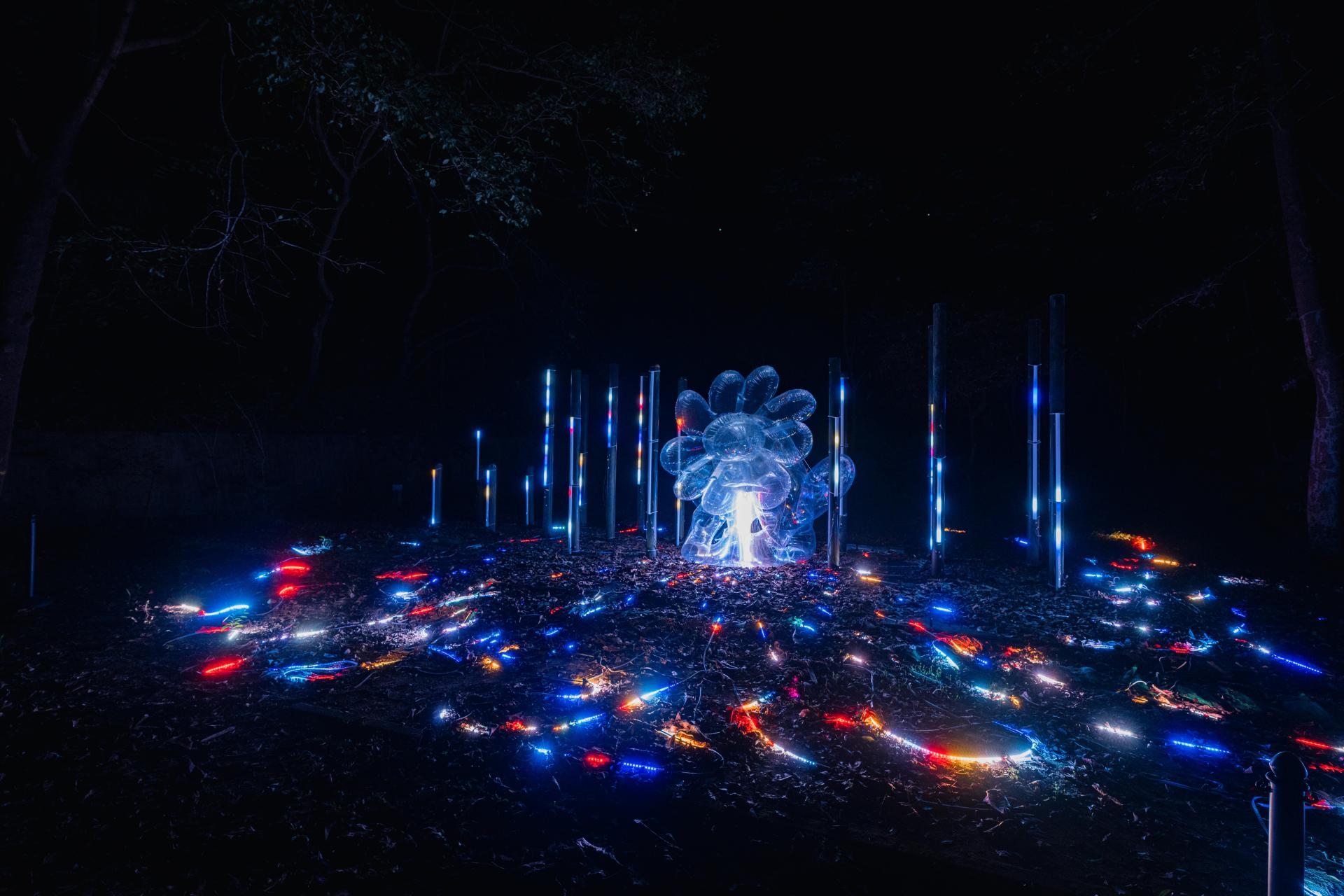 London Design Awards Winner - Longci Light Festival 2026 : Call Of The Wild Woods