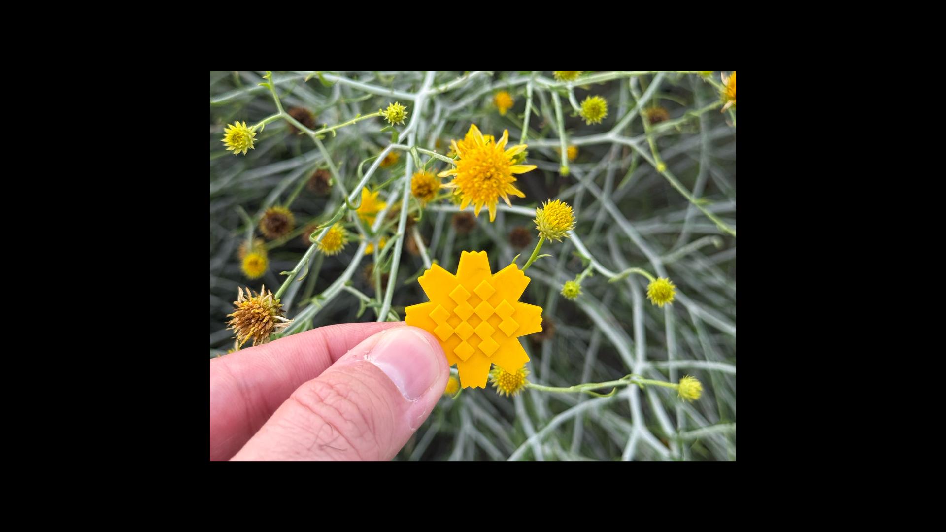London Design Awards Winner - Al-Arfaj Flower Badge Campaign