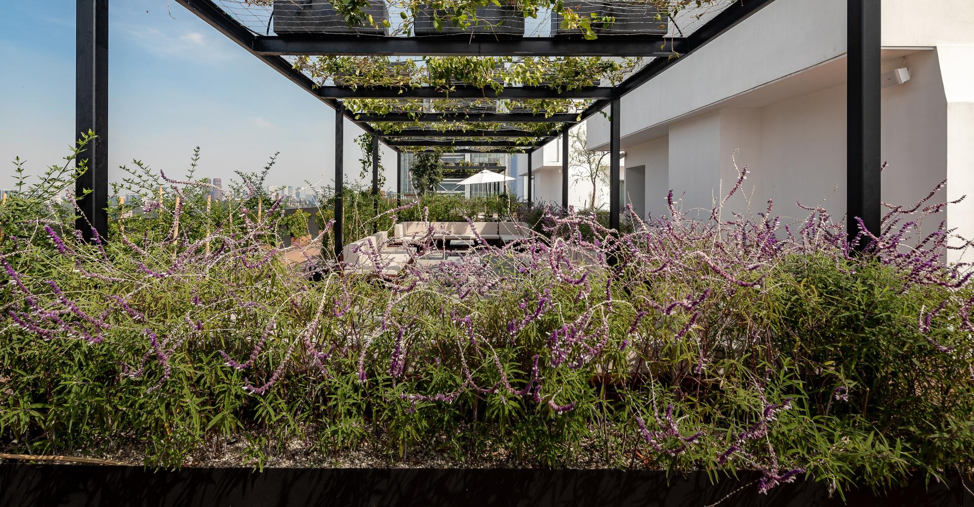 London Design Awards Winner - ICON Condesa