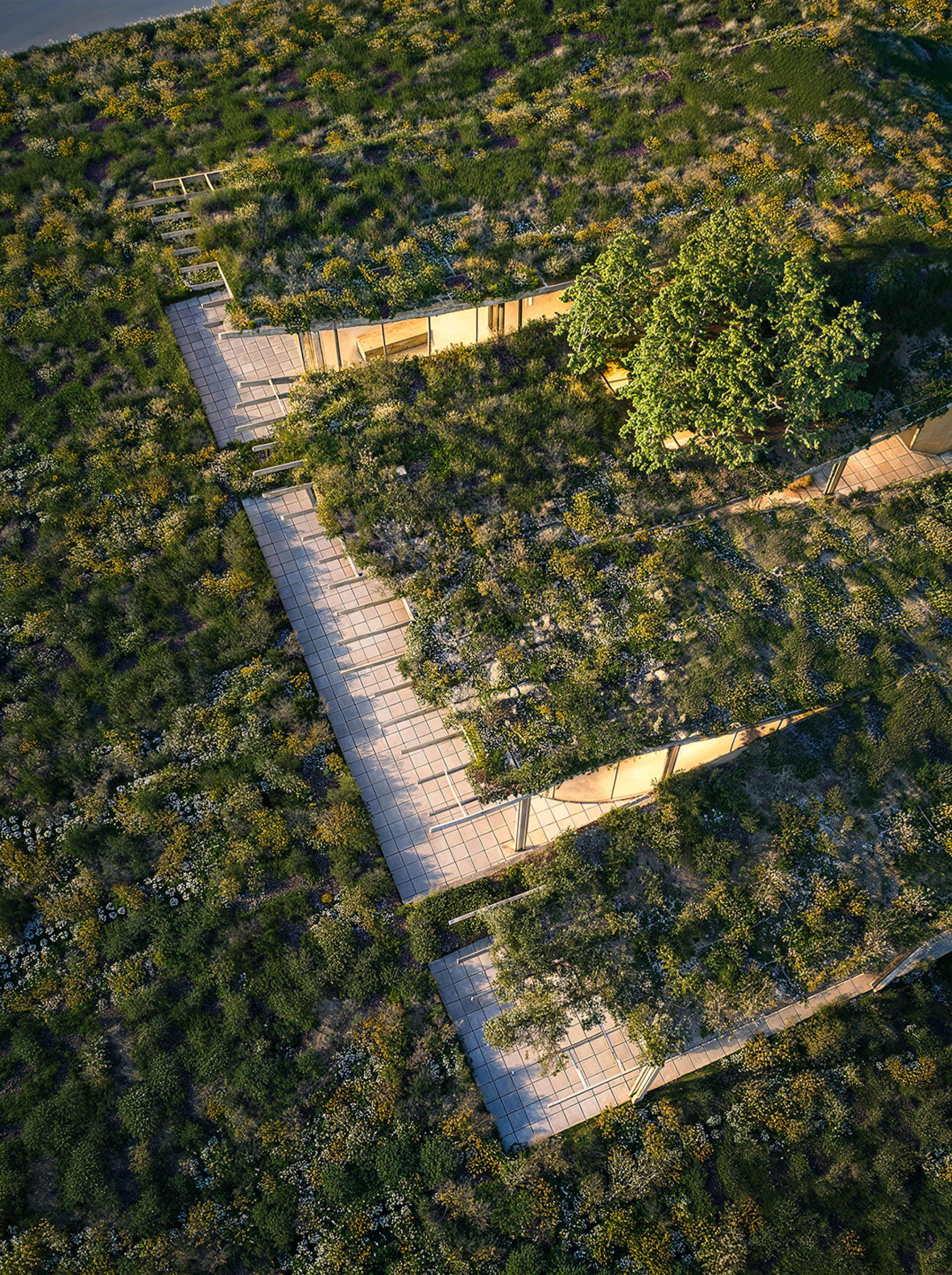 London Design Awards Winner - The Museum of Urban Rewilding