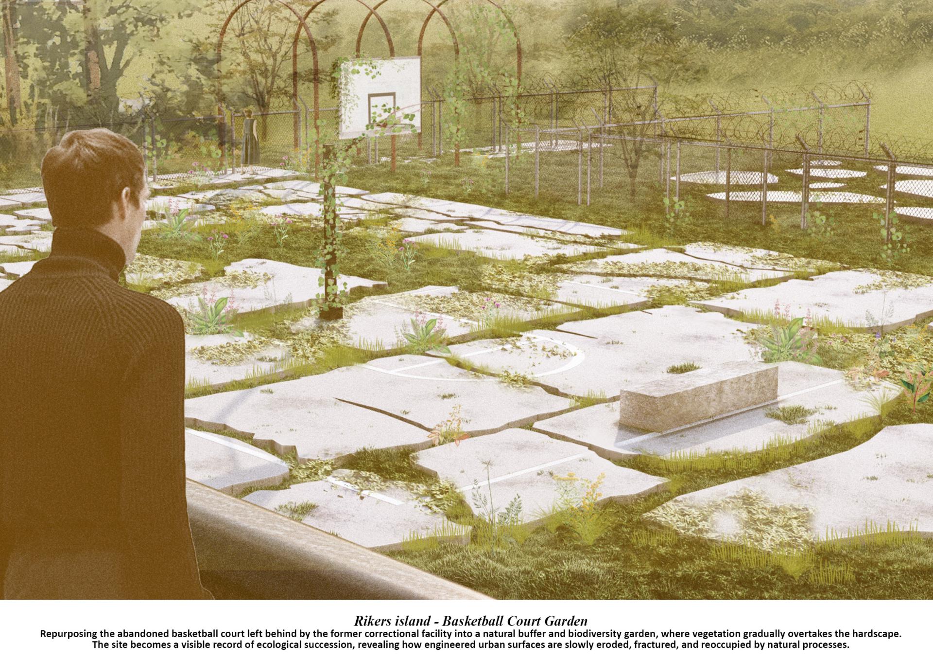 London Design Awards Winner - Reimagining South Bronx through Urban Entropy Rewilding