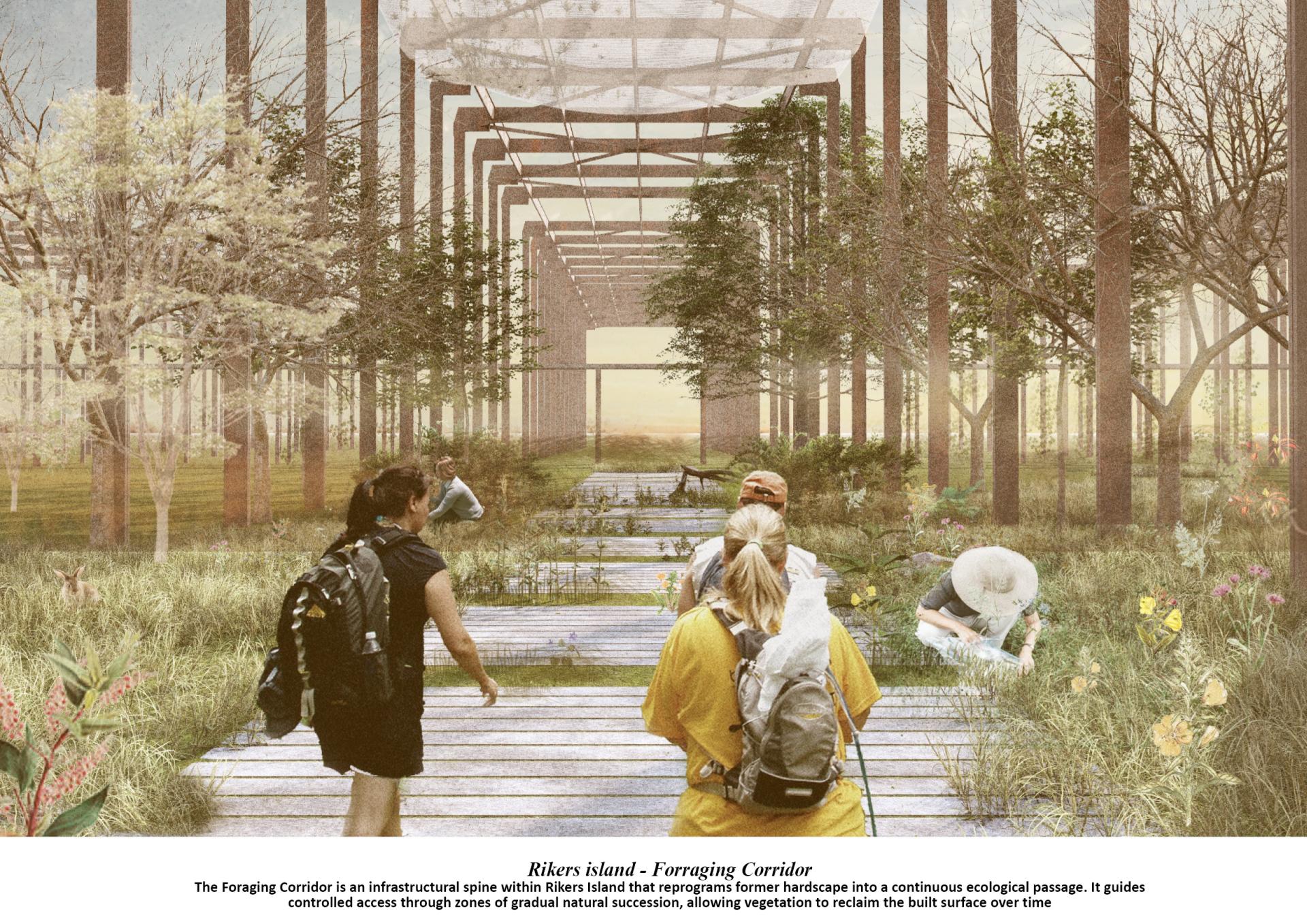 London Design Awards Winner - Reimagining South Bronx through Urban Entropy Rewilding
