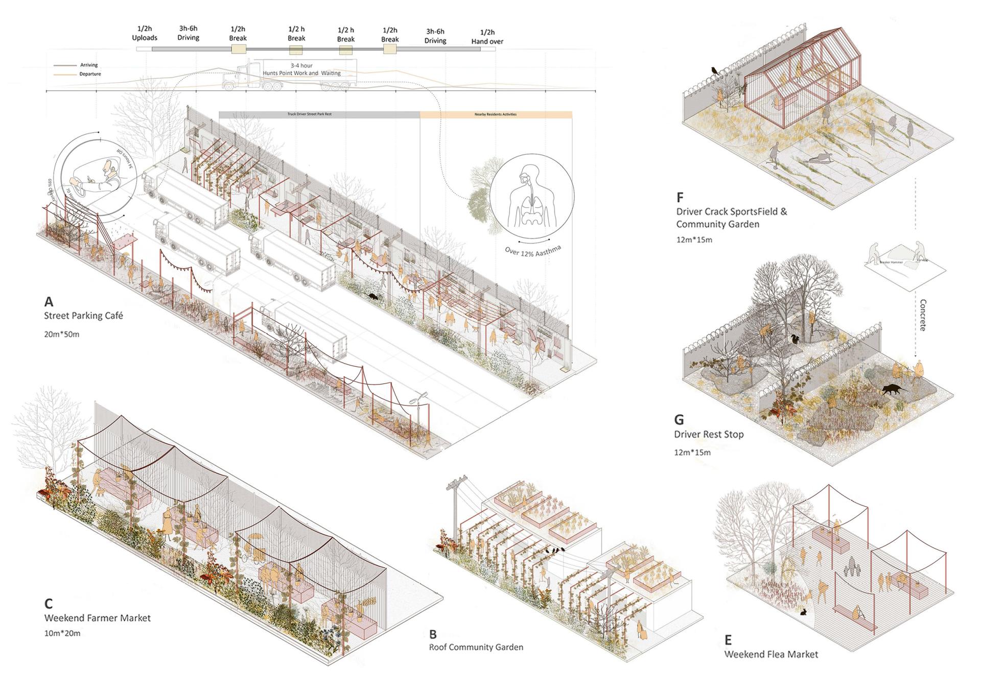 London Design Awards Winner - Reimagining South Bronx through Urban Entropy Rewilding