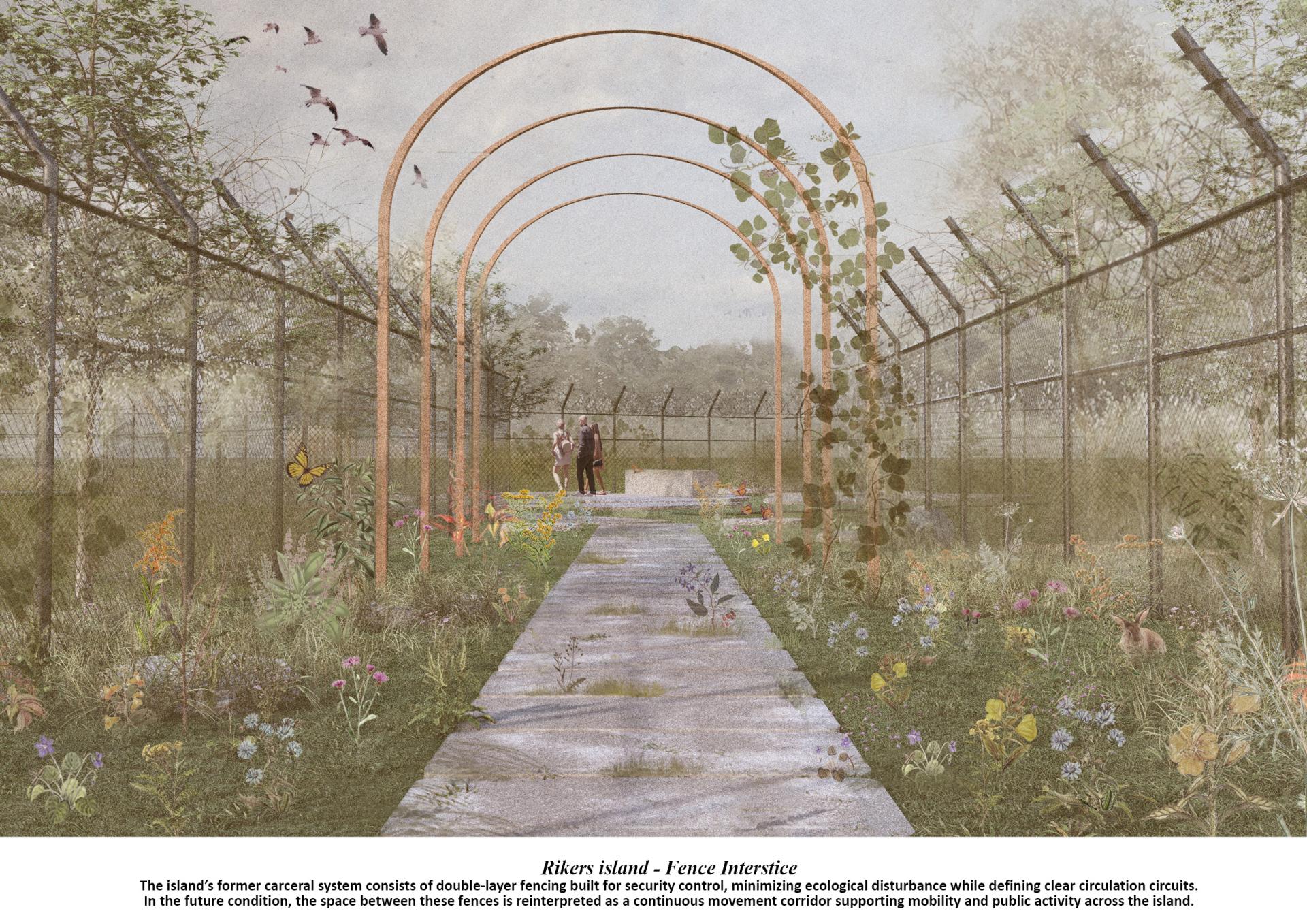 London Design Awards Winner - Reimagining South Bronx through Urban Entropy Rewilding
