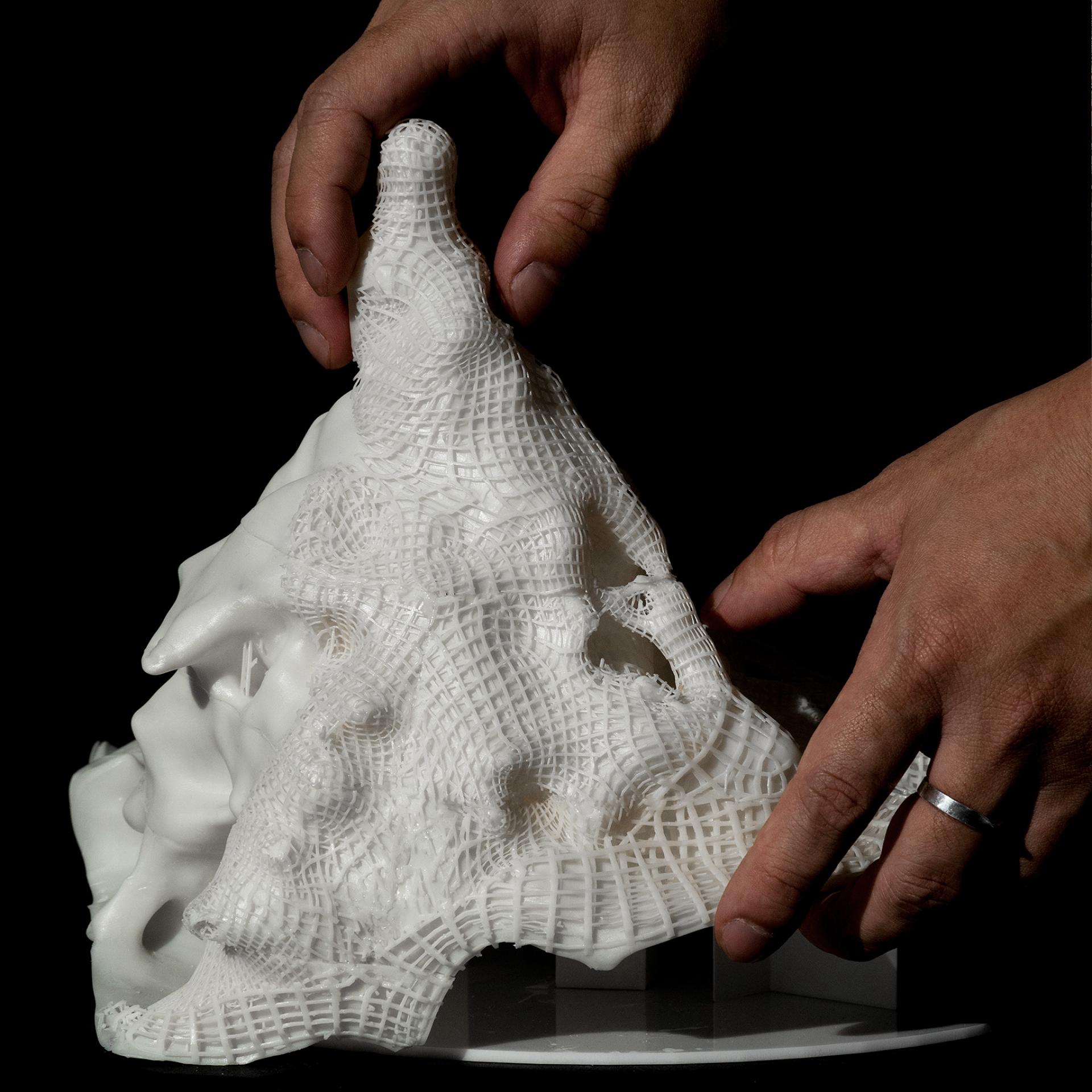 London Design Awards Winner - Heterotopic Symbiosis: Accumulations