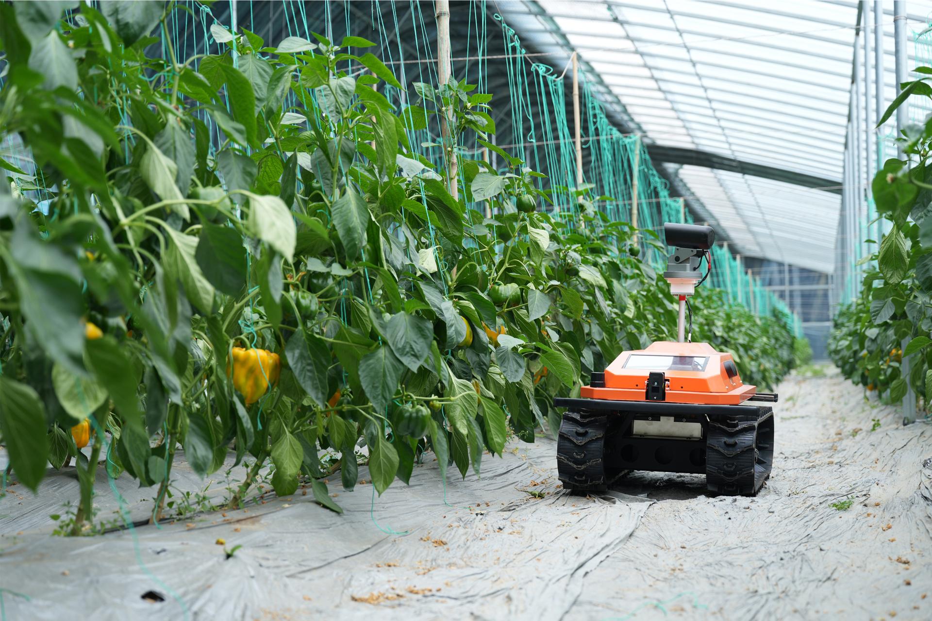 London Design Awards Winner - Intelligent Agricultural Inspection Robot