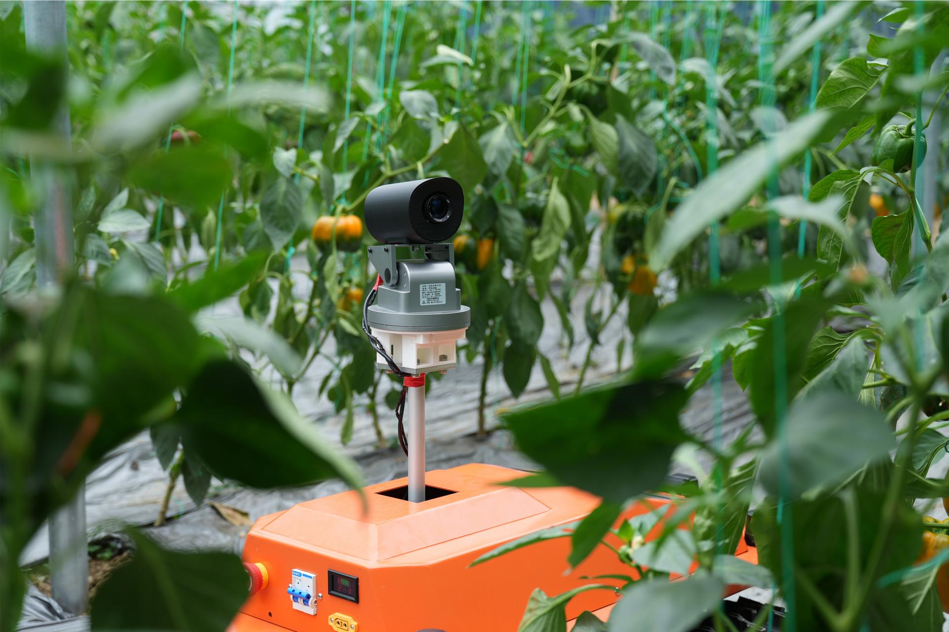 London Design Awards Winner - Intelligent Agricultural Inspection Robot