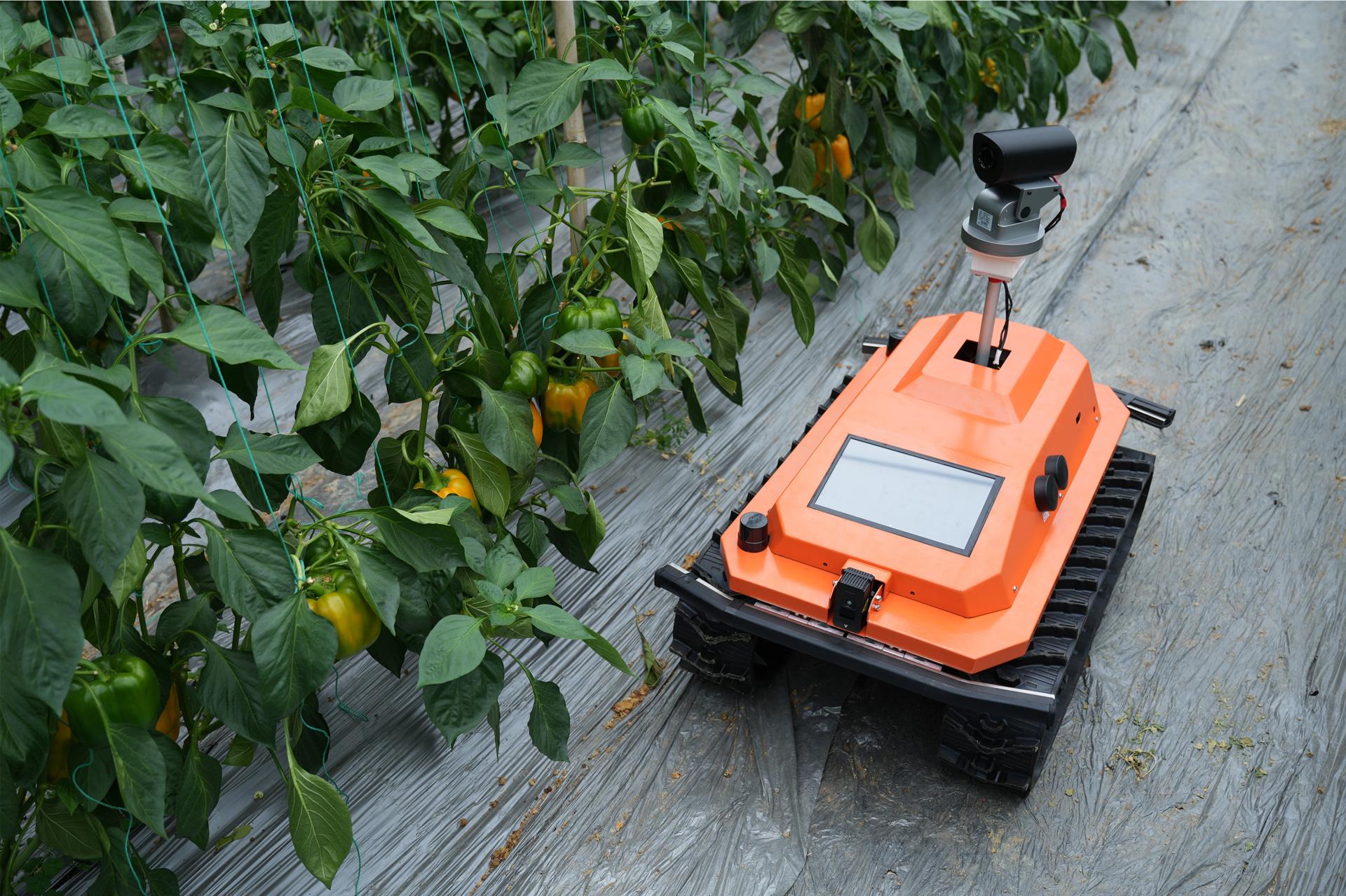 London Design Awards Winner - Intelligent Agricultural Inspection Robot