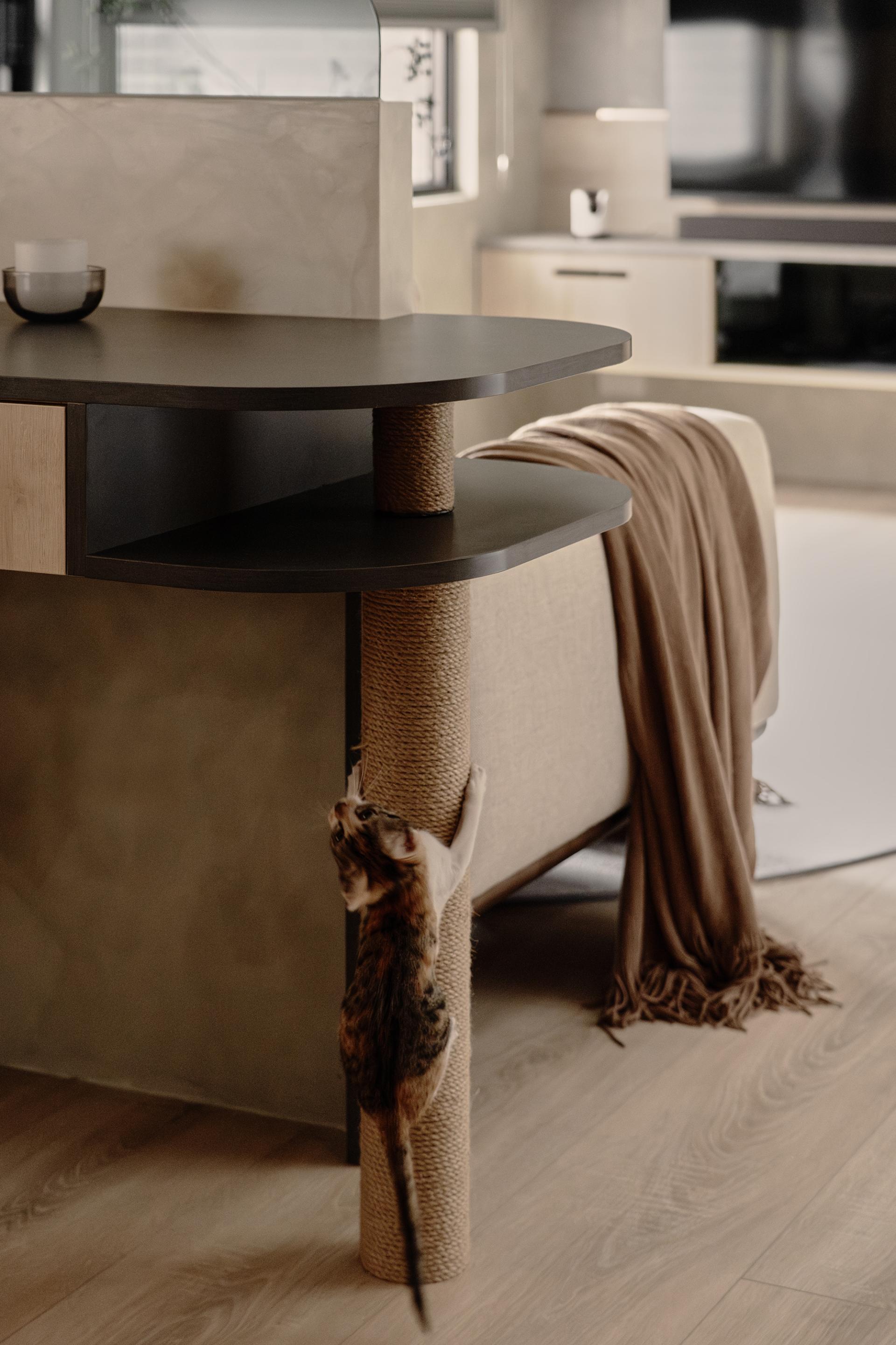 London Design Awards Winner - Paws Through Time