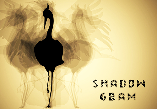 London Design Awards - Shadowgram