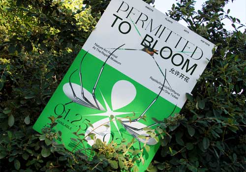 London Design Awards - Permitted to Bloom Poster Design