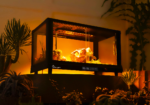 London Design Awards - ALL-IN-ONE Pet Enclosure