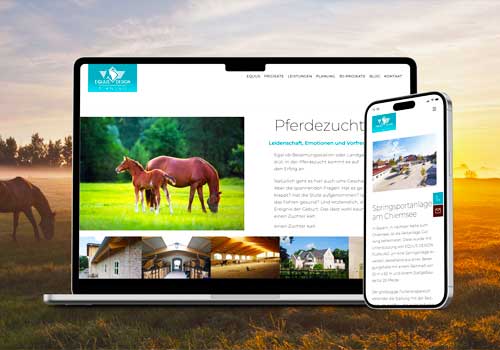 London Design Awards - Website for a planning office for equestrian facilities