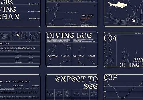 London Design Awards - OSEAN: Digital Diving Log