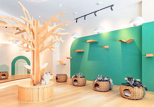 London Design Awards - Meow Me Café