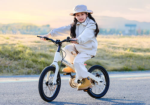 London Design Winner - Xingtai Maidomi Technology Co., Ltd. - Cruiser Bicycle