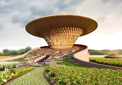 Design Awards Featured Winner - Church of Root