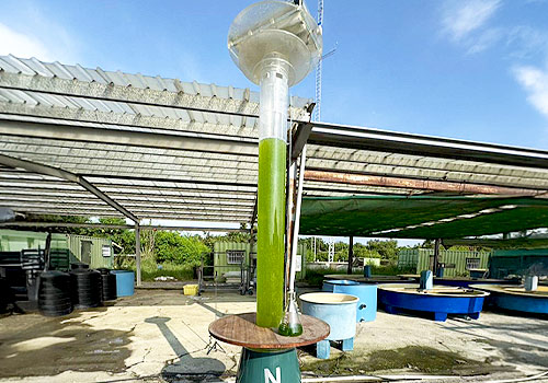 London Design Awards - Bright Net-Zero Lamp: Algae-Powered Smart Light