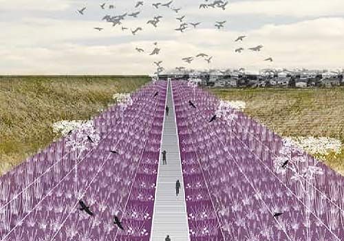 London Design Awards - Hybrid Wetland