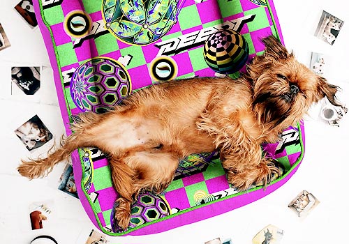 London Design Awards - PEBOT Pet Wear Design