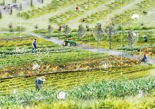 London Design Awards - The Living Maze: A Regenerative Cattle Landscape System