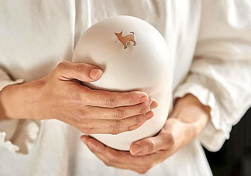 London Design Awards - An Memorial Capsule